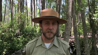 Know Before You Go - Georgia State Parks Covid-19 Guidelines