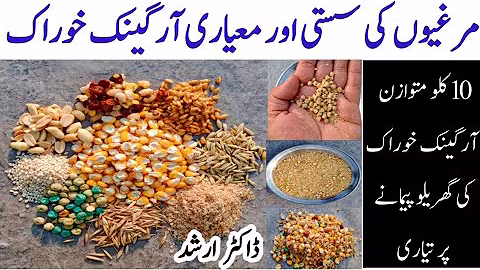 Homemade Chicken Organic Feed by Dr Arshad | Poultry Feed Formulation