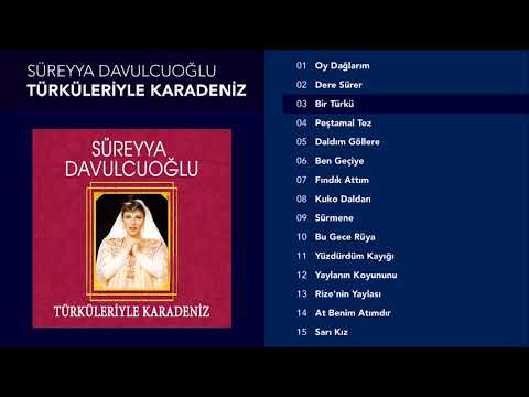 Bir Türkü - Süreyya Davulcuoğlu