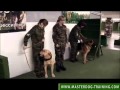How To Become a Dog Trainer - How To Train a Dog How To Become a Dog Trainer - How To Train a Dog