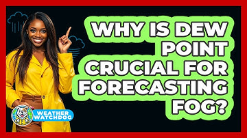 Why Is Dew Point Crucial For Forecasting Fog? - Weather Watchdog