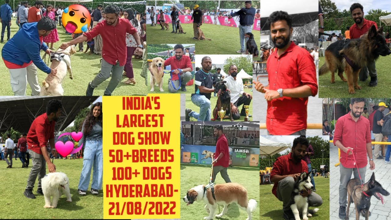 India's Best Trained DogsHyderabadIAMSHyCan Story of adopted Pets