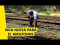 Así reforestan la Amazonía excombatientes de las FARC | Colombia +20