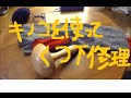 マッシュルームダナー開封～　冷えとり靴下の穴修理　Mushroom Darner's DIY　ネット購入品