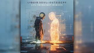 Liquid Soul Outsiders - Life Frequency Burn In Noise Remix