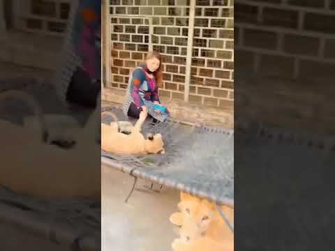 Amina Khan Pakistani TikToker Viral Video With Lion
