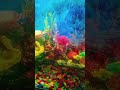 AQUARIUM 🪸 FISHES 🌊🐟 BEAUTIFUL #youtubeshort #YT#foryourpage #aquarium