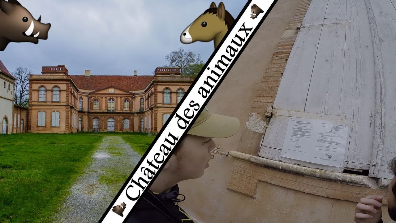 Un château défenseur des animaux ?!! ( saison 3 épisode 6 ) YouTube — free download