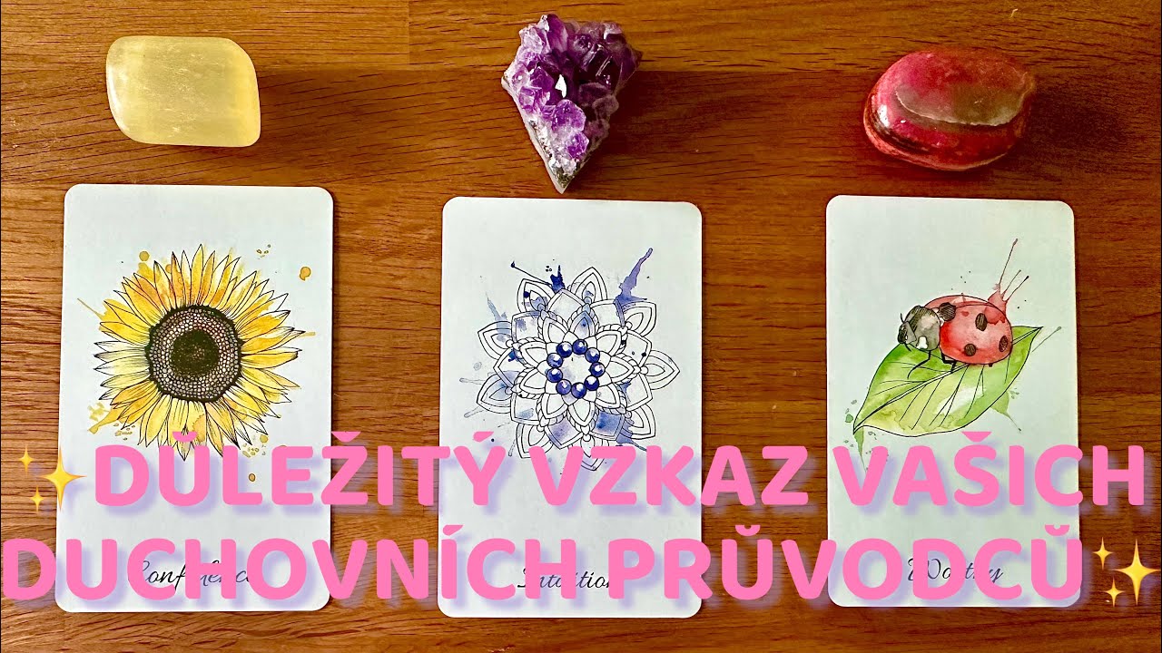 🤍🫧💌DŮLEŽITÝ vzkaz Vašich duchovních průvodců🕊️🌬️