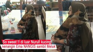 MasyaAllah Gemes/cat apologizes while hugging when Ema advises him/cute cat compilation/#CT by Cat Tara 5,593 views 3 weeks ago 8 minutes, 21 seconds