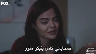 حوارات هزلية (+18) : كي تكون عندك مدامة و تبنبيط 