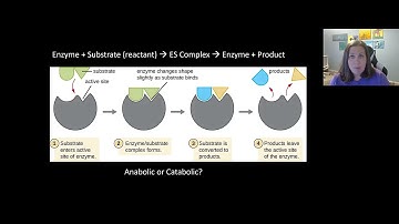 Microbial Metabolism Part 1