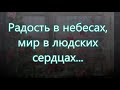 Радость в небесах, мир в людских сердцах/// Детская /// на Рождество