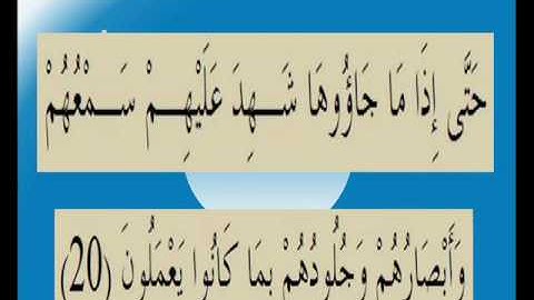 القران الكريم سورة فصلت الاية 20.wmv