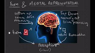 Mental Representations on Object Recognition