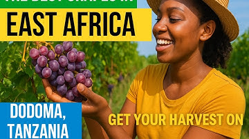 “Sustainable Farming Secrets the World Needs to Learn from Tanzania 🌿🇹🇿”