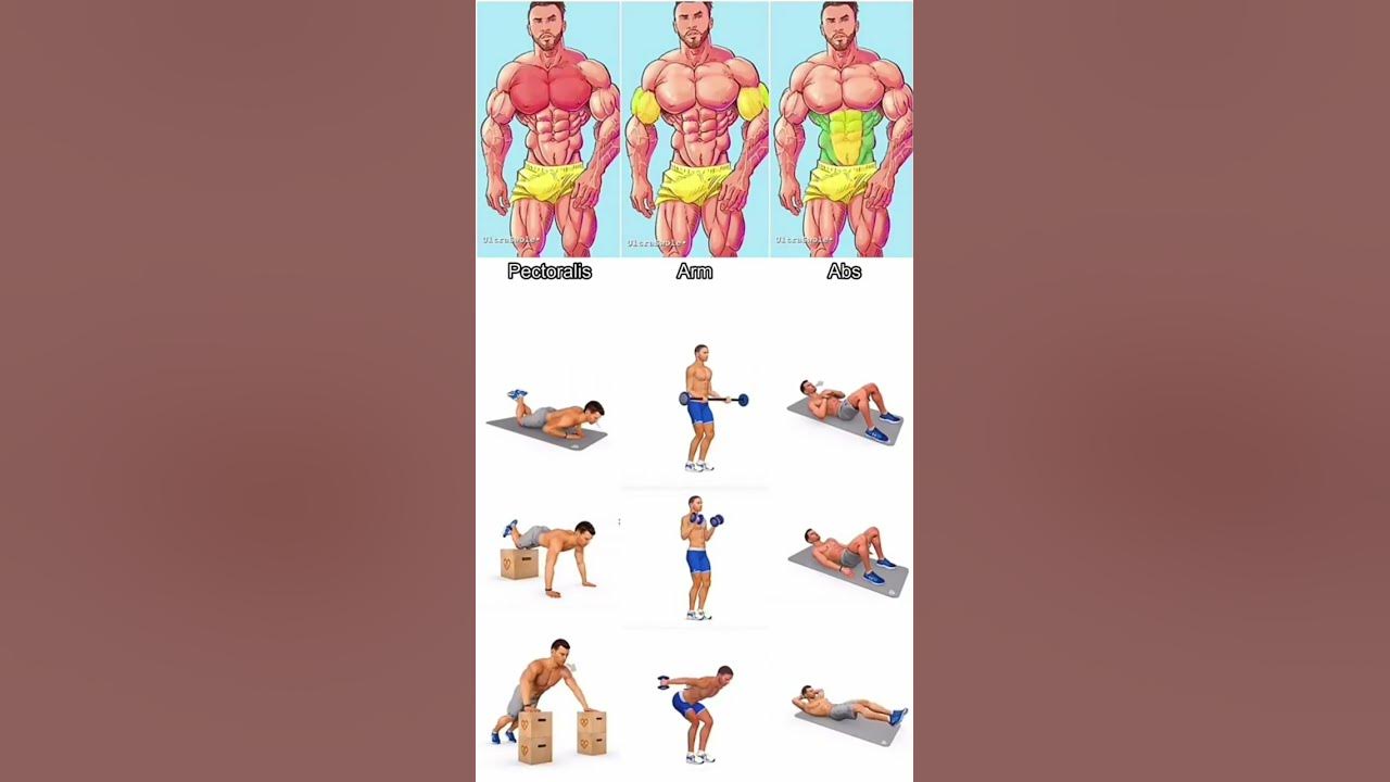 how-to-build-upper-body-muscle-at-home-upperbodyworkout-shorts-youtube