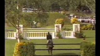 Eddie Macken (IRL) & Carroll's Flight (ISH) - 1986 Hickstead Derby