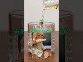 【悲報】ワイのぬいぐるみ、顔がホームページと違いすぎる #2ch #shorts