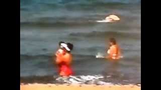 SAM_0223.AVI