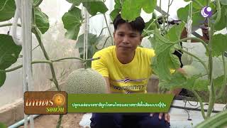 คนไทยหัวใจเกษตร 01 มกราคม 2562 B1