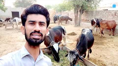 Oasis Labs Marketing 2021