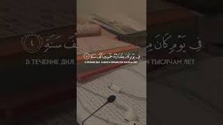 Сура 70 Мааридж(Ступени), Аяты 4-11, чтец Султан Ибн Хабиб