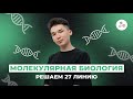 Разбор задач 27 линии. Палиндромы // БИОЛОГИЯ // ЕГЭ-2024 // NEOFAMILY