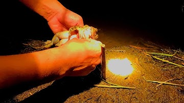 Cắm Câu Ếch Vào Mùa Nước Nổi Ở Miền Tây. Frog Trap | Sắc Quê Channel