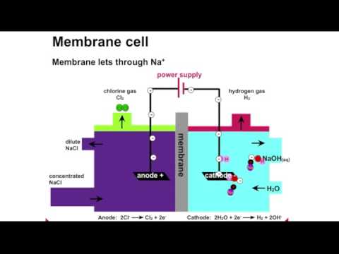 Видео: Хлор шүлтийн процессын бүтээгдэхүүнүүд юу вэ?