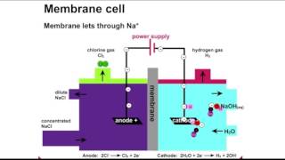 Chlor-Alkali Process Animation