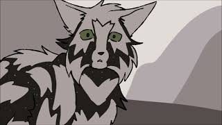 Suite-pee | Warriors OC PMV