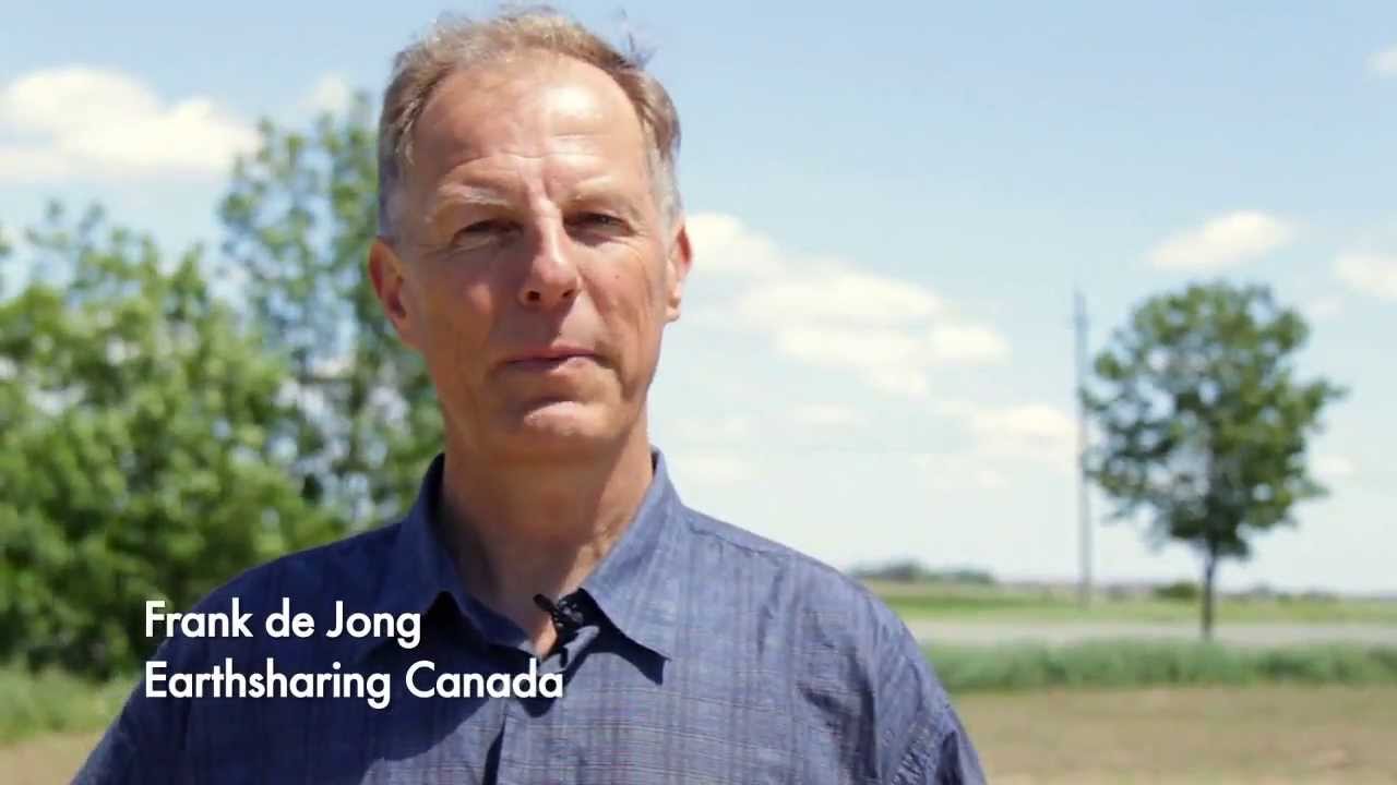 What Is Land Value Taxation