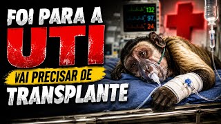 Desta vez não sei se vai ter jeito 