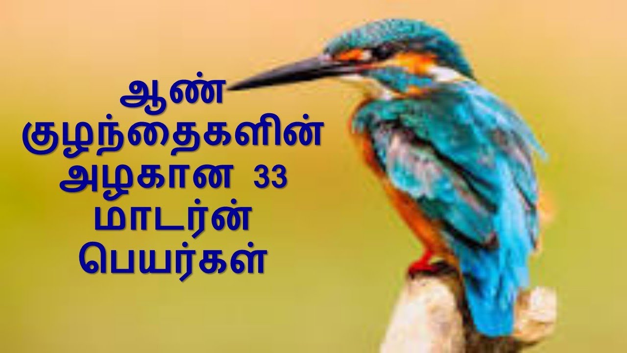 ஆண் குழந்தைகளின் அழகான 33 மாடர்ன் பெயர்கள் /Best Modern boys Names