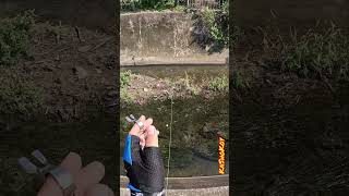 SlingShot Fishing