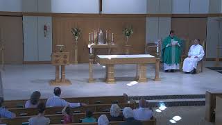 15th Sunday in Ordinary Time - July 12, 2026