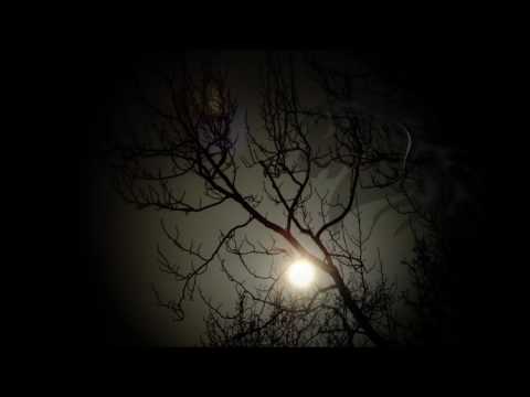 (TL-00009) Moon Through Branches with Vignetting