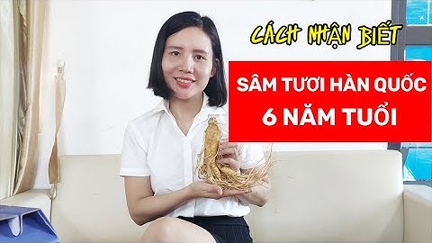 Cách nhận biết Sâm tươi Hàn Quốc 6 năm tuổi - SAMRUBY.VN