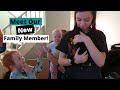 MEET OUR NEW FAMILY MEMBER | Large Family of 14 Daily Vlog