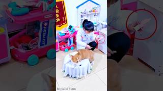 Smart Dog Helped Owner be Doctor😊 #shorts #viral #trending #dog