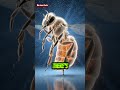 The Secret of Bee Flight 🐝 | A Mystery That Confused Science for 200 Years! #beefacts #animalfacts