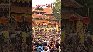 pooram#uthsavam #thrissur #viralvideo #viralcuts