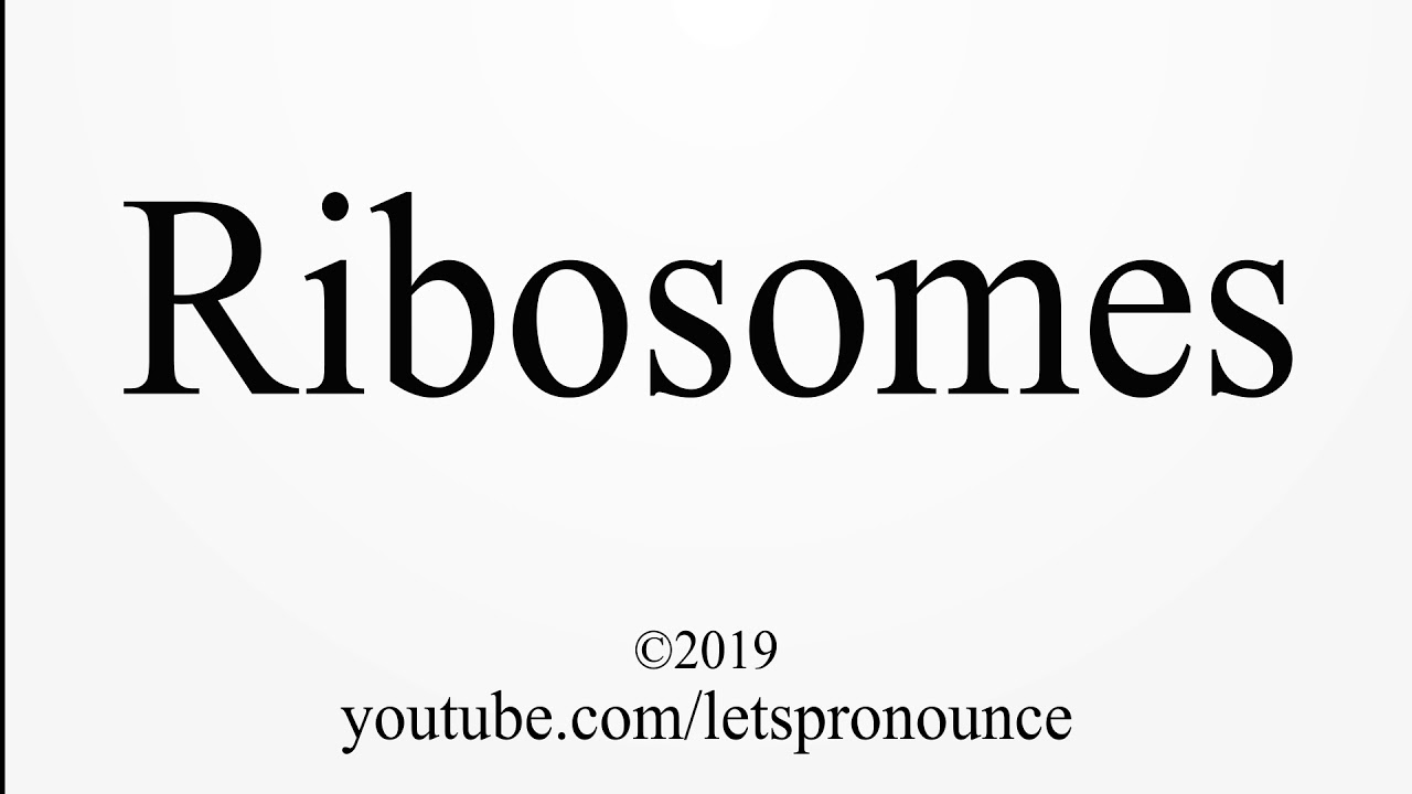 How to Pronounce Ribosomes YouTube