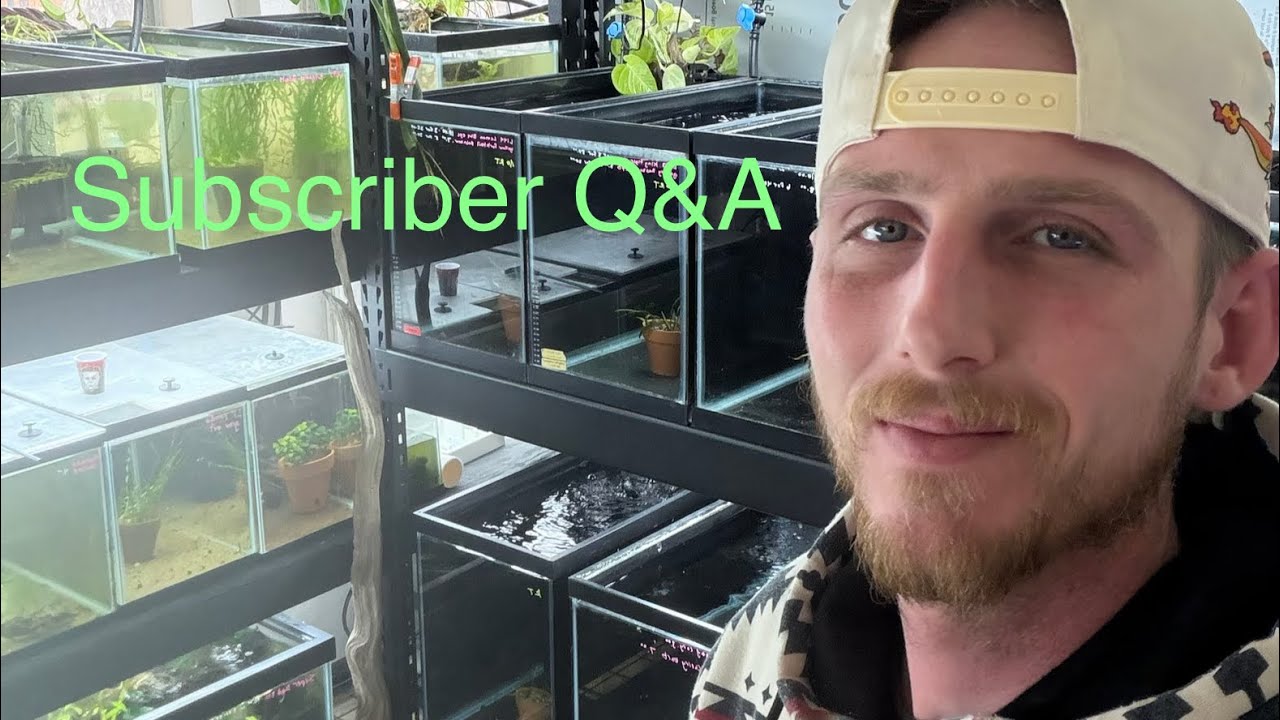Subscriber question about JT 