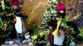 The Wild Berrys - Run Rudolph Run, fabulous rock 'n roll Christmas song (official music video)