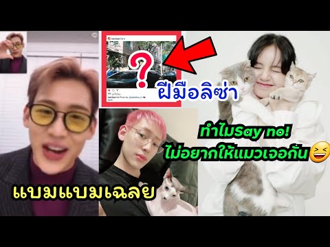 ทำไมแบมแบม say no! หลังแฟนๆถามอยากเอาน้องแมวมาเจอแมวลิซ่าไหม? และภาพที่ลิซ่าถ่ายให้แบมแบมตอนมากทม.