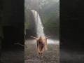 Waterfall Soundhealing Bali 🙏🏻 #chakrapurify #love #bali #waterfallsounds #soundhealing
