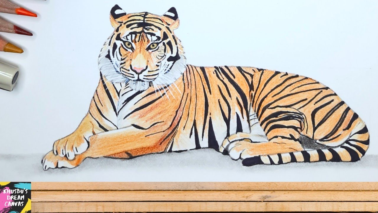 Bengal Tiger  Animal drawings, National animal, Bengal tiger