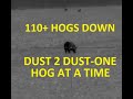 110 Plus Hogs Down Hog Hunting Compilation